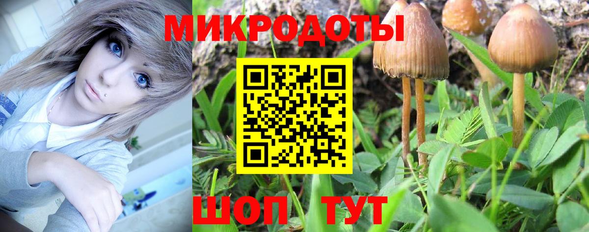 Галлюциногенные грибы Psilocybine cubensis Кизилюрт