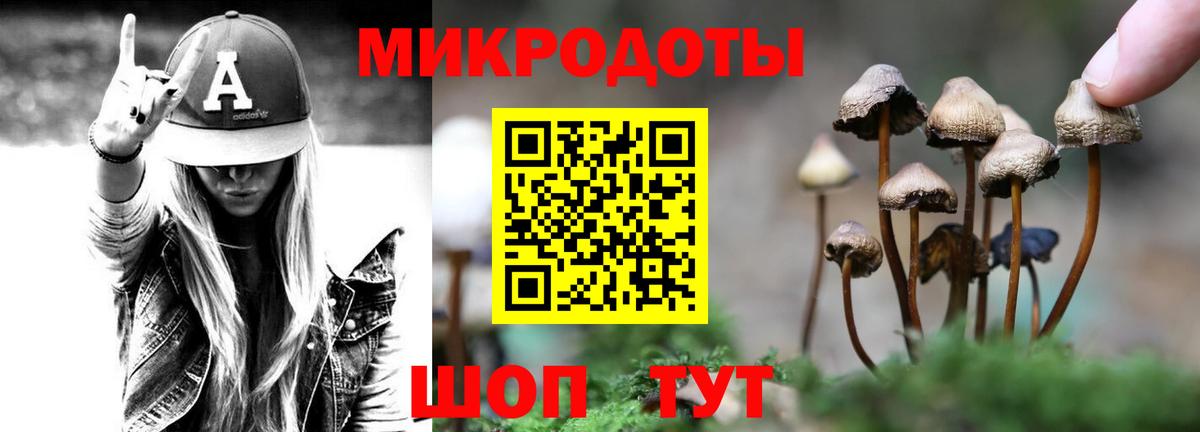 Псилоцибиновые грибы Magic Shrooms  Вход с VPN  где можно купить наркотик  Кизилюрт 